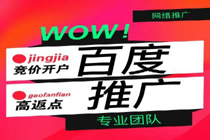 SEM竞价入门指南，经典案例分享